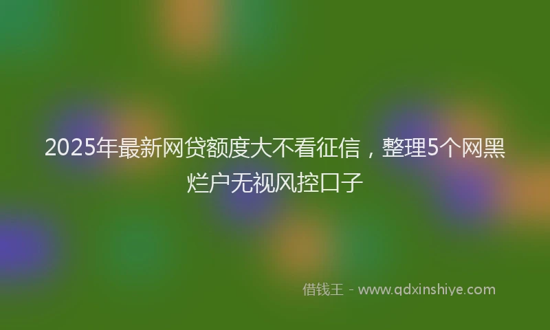 2025年最新网贷额度大不看征信，整理5个网黑烂户无视风控口子