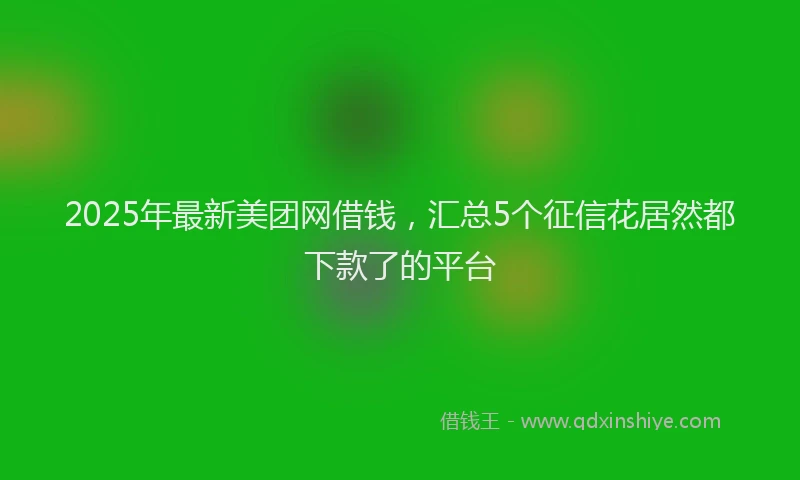 2025年最新美团网借钱，汇总5个征信花居然都下款了的平台