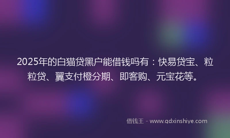 2025年的白猫贷黑户能借钱吗有：快易贷宝、粒粒贷、翼支付橙分期、即客购、元宝花等。