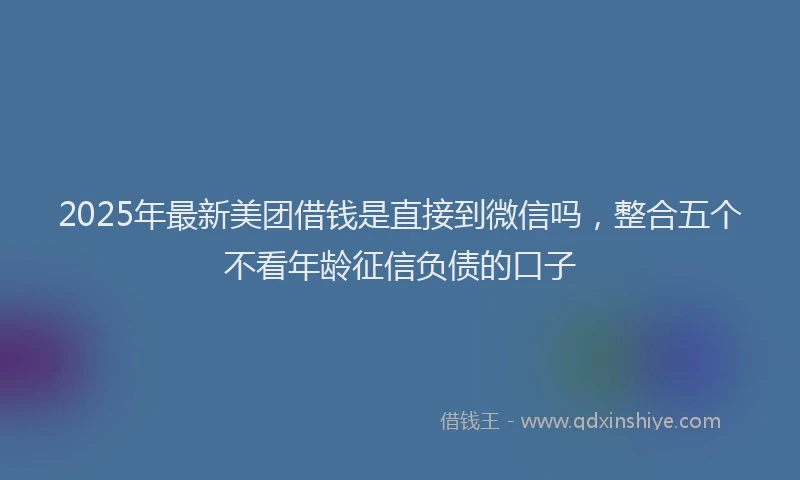 2025年最新美团借钱是直接到微信吗，整合五个不看年龄征信负债的口子