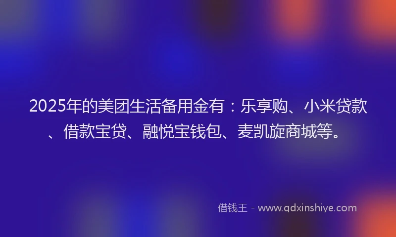 2025年的美团生活备用金有：乐享购、小米贷款、借款宝贷、融悦宝钱包、麦凯旋商城等。