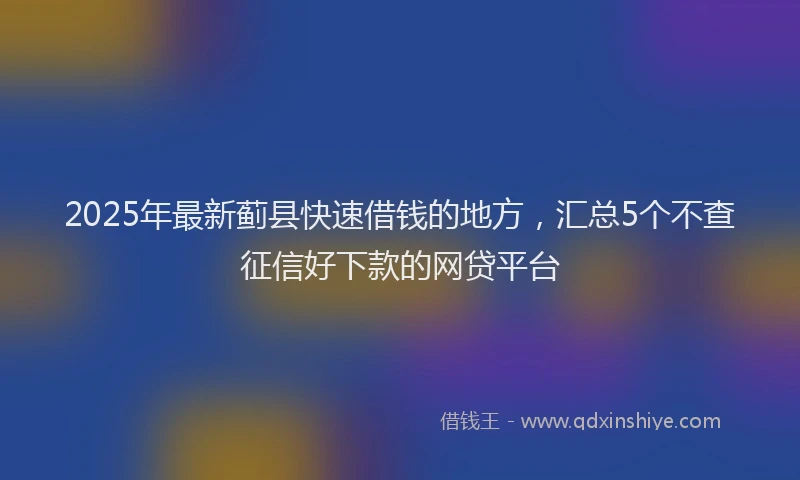 2025年最新蓟县快速借钱的地方，汇总5个不查征信好下款的网贷平台