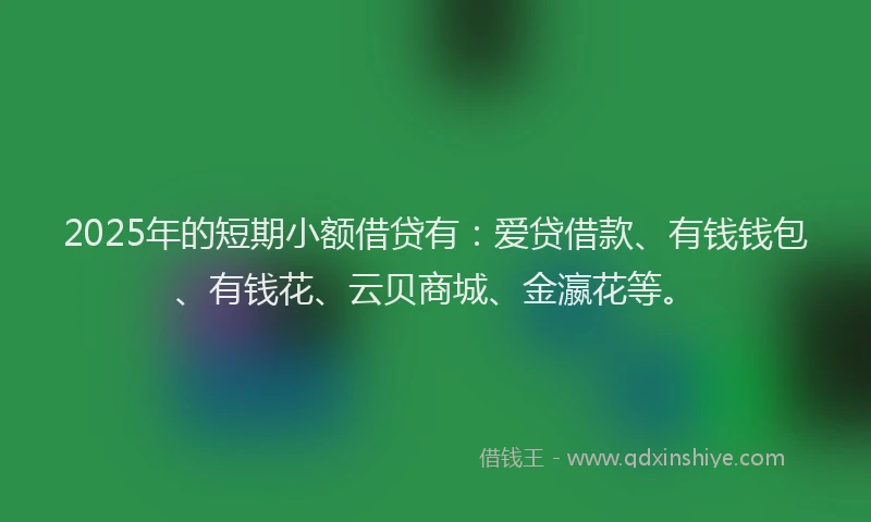 2025年的短期小额借贷有：爱贷借款、有钱钱包、有钱花、云贝商城、金瀛花等。
