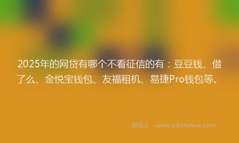 2025年的网贷有哪个不看征信的有：豆豆钱、借了么、金悦宝钱包、友福租机、易捷Pro钱包等。