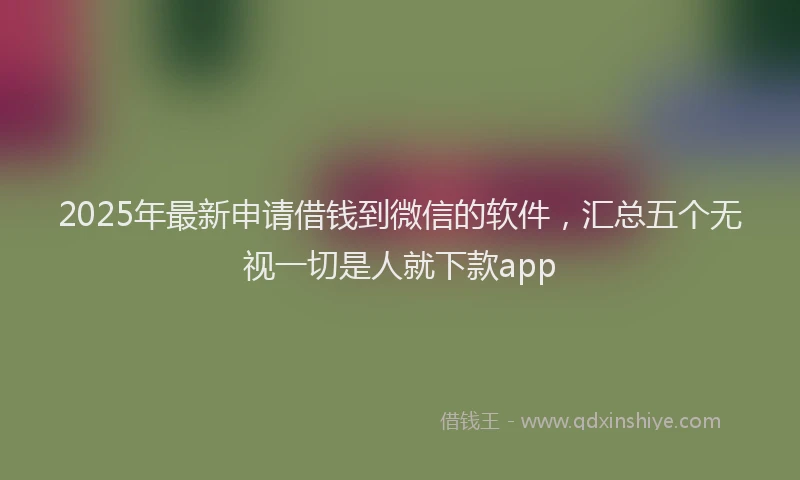2025年最新申请借钱到微信的软件，汇总五个无视一切是人就下款app