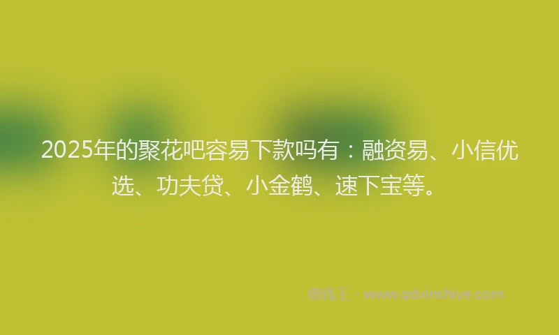 2025年的聚花吧容易下款吗有：融资易、小信优选、功夫贷、小金鹤、速下宝等。