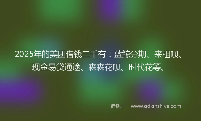 2025年的美团借钱三千有：蓝鲸分期、来租呗、现金易贷通途、森森花呗、时代花等。