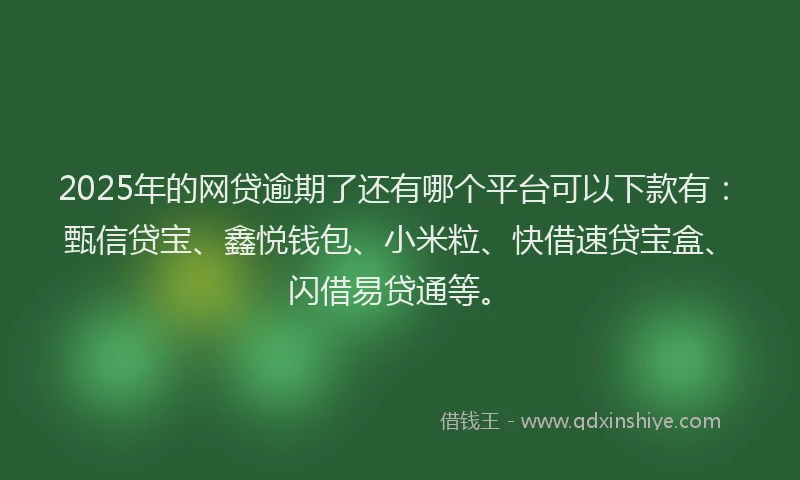 2025年的网贷逾期了还有哪个平台可以下款有：甄信贷宝、鑫悦钱包、小米粒、快借速贷宝盒、闪借易贷通等。