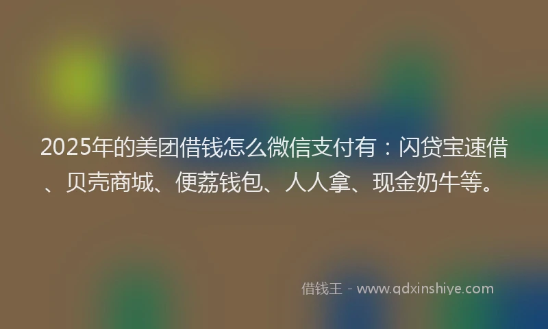 2025年的美团借钱怎么微信支付有：闪贷宝速借、贝壳商城、便荔钱包、人人拿、现金奶牛等。