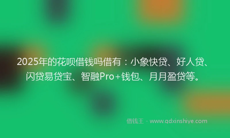 2025年的花呗借钱吗借有：小象快贷、好人贷、闪贷易贷宝、智融Pro+钱包、月月盈贷等。