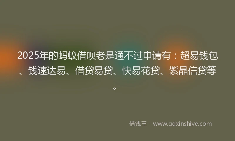 2025年的蚂蚁借呗老是通不过申请有：超易钱包、钱速达易、借贷易贷、快易花贷、紫晶信贷等。