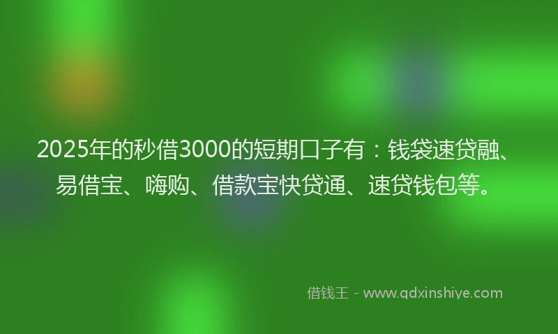 2025年的秒借3000的短期口子有：钱袋速贷融、易借宝、嗨购、借款宝快贷通、速贷钱包等。