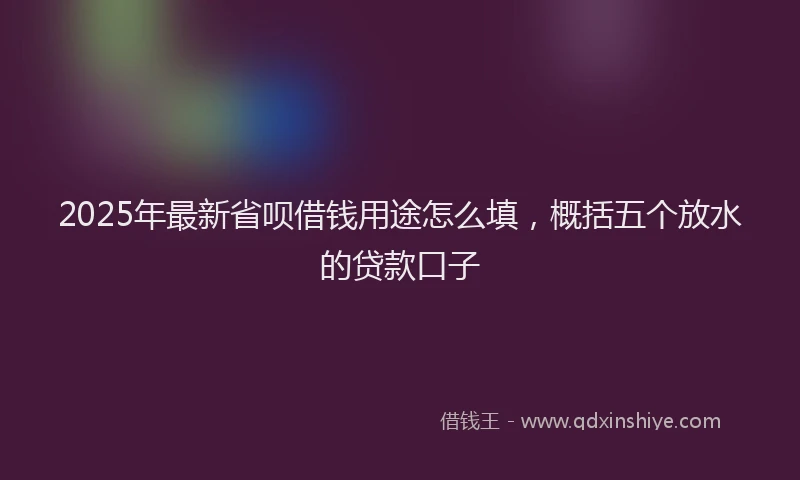 2025年最新省呗借钱用途怎么填，概括五个放水的贷款口子