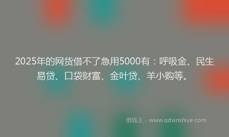2025年的网货借不了急用5000有：呼吸金、民生易贷、口袋财富、金叶贷、羊小购等。