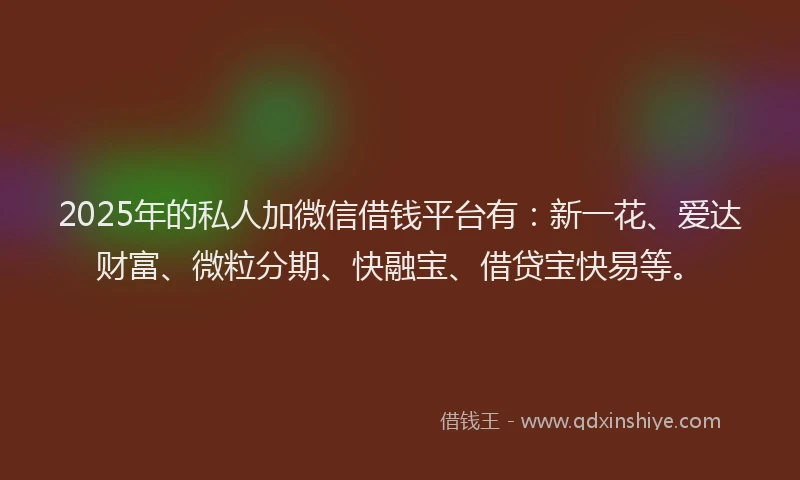 2025年的私人加微信借钱平台有：新一花、爱达财富、微粒分期、快融宝、借贷宝快易等。