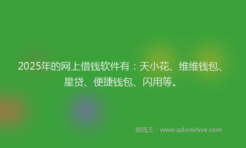 2025年的网上借钱软件有：天小花、维维钱包、星贷、便捷钱包、闪用等。