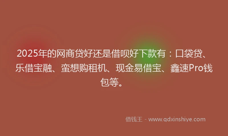 2025年的网商贷好还是借呗好下款有：口袋贷、乐借宝融、蛮想购租机、现金易借宝、鑫速Pro钱包等。