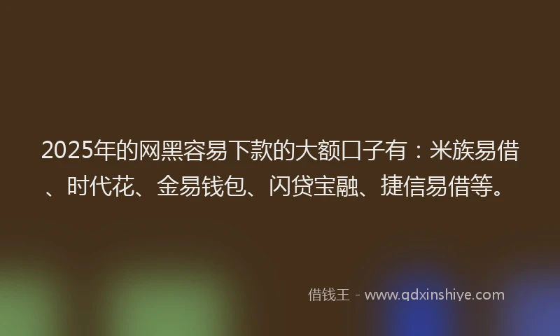 2025年的网黑容易下款的大额口子有：米族易借、时代花、金易钱包、闪贷宝融、捷信易借等。