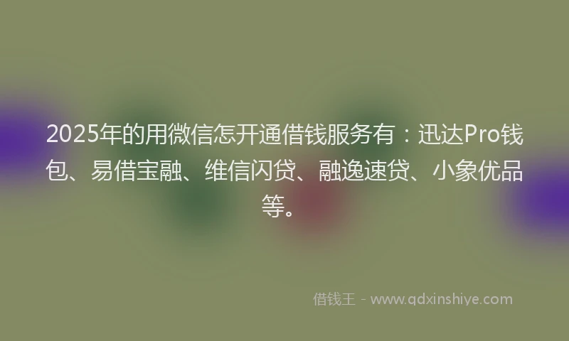 2025年的用微信怎开通借钱服务有：迅达Pro钱包、易借宝融、维信闪贷、融逸速贷、小象优品等。