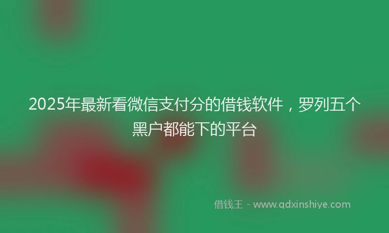 2025年最新看微信支付分的借钱软件，罗列五个黑户都能下的平台