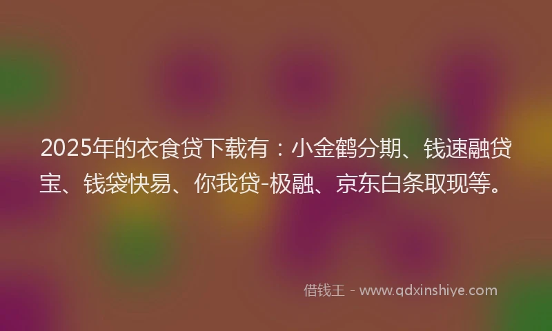 2025年的衣食贷下载有：小金鹤分期、钱速融贷宝、钱袋快易、你我贷-极融、京东白条取现等。