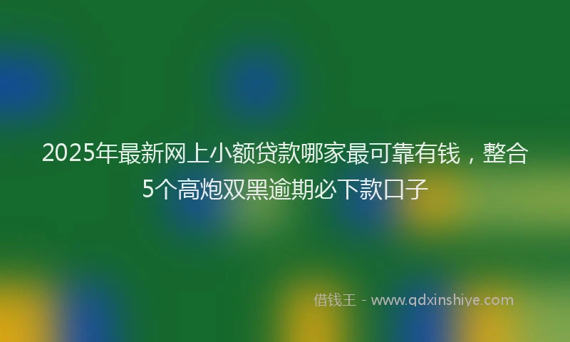 2025年最新网上小额贷款哪家最可靠有钱，整合5个高炮双黑逾期必下款口子