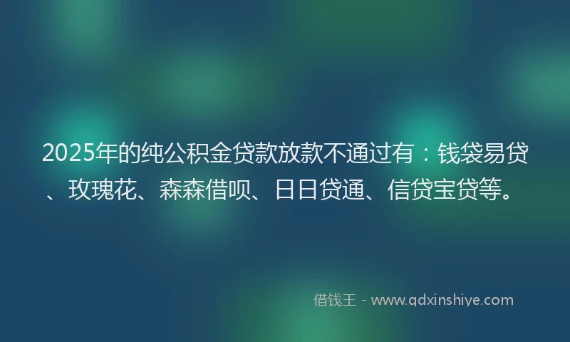 2025年的纯公积金贷款放款不通过有：钱袋易贷、玫瑰花、森森借呗、日日贷通、信贷宝贷等。
