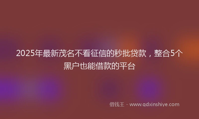 2025年最新茂名不看征信的秒批贷款，整合5个黑户也能借款的平台
