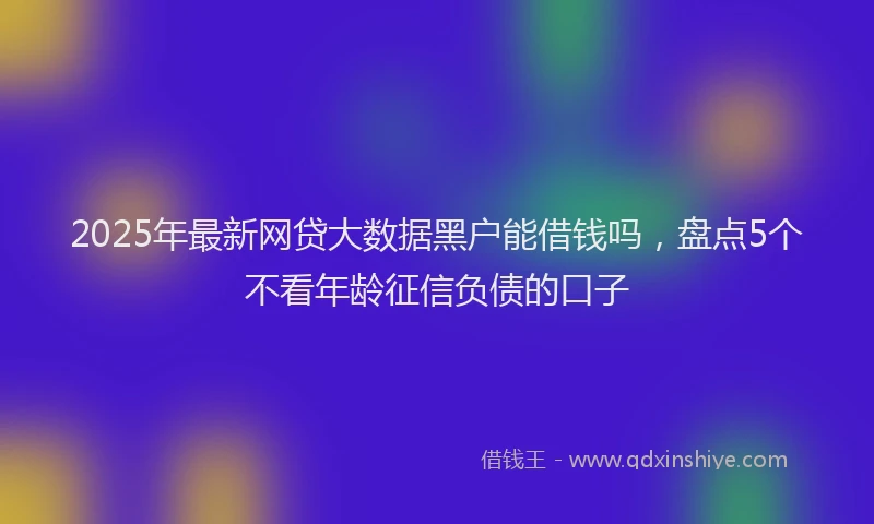 2025年最新网贷大数据黑户能借钱吗，盘点5个不看年龄征信负债的口子
