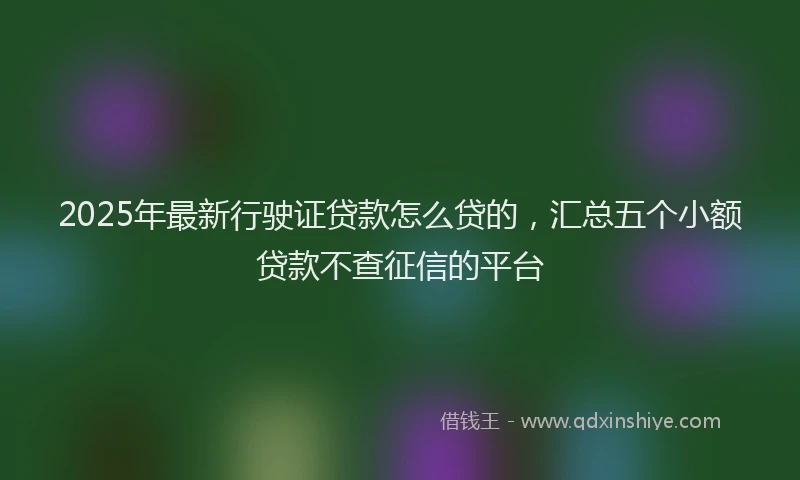 2025年最新行驶证贷款怎么贷的，汇总五个小额贷款不查征信的平台