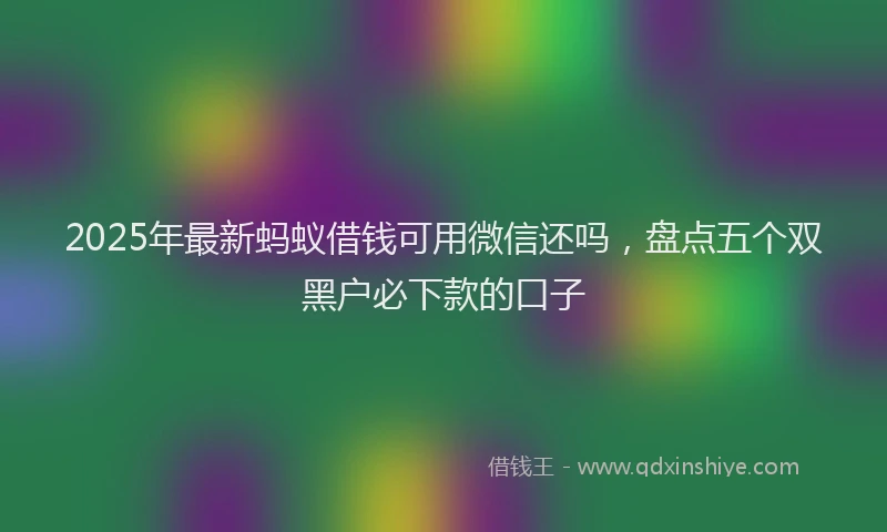 2025年最新蚂蚁借钱可用微信还吗，盘点五个双黑户必下款的口子