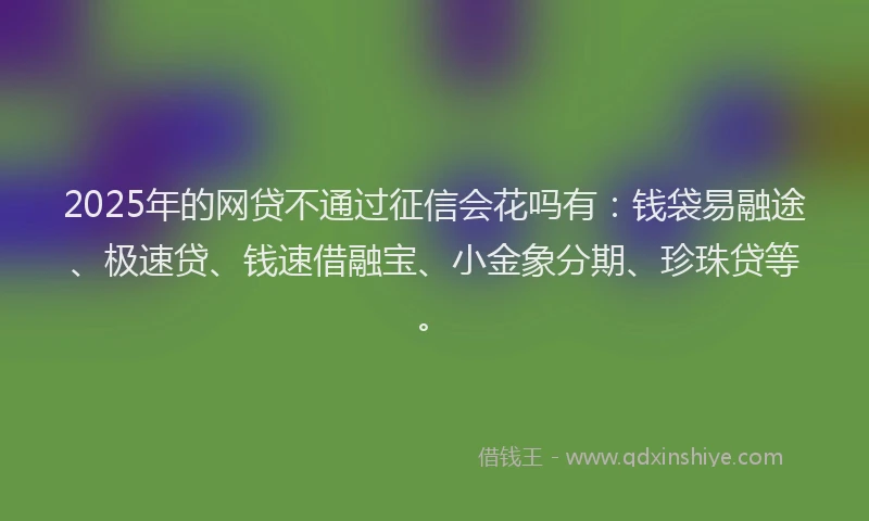 2025年的网贷不通过征信会花吗有：钱袋易融途、极速贷、钱速借融宝、小金象分期、珍珠贷等。