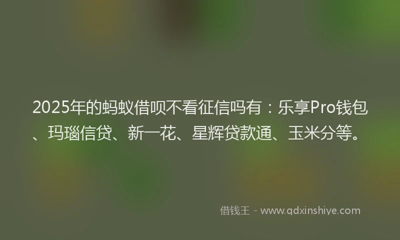 2025年的蚂蚁借呗不看征信吗有：乐享Pro钱包、玛瑙信贷、新一花、星辉贷款通、玉米分等。