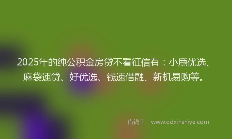 2025年的纯公积金房贷不看征信有：小鹿优选、麻袋速贷、好优选、钱速借融、新机易购等。