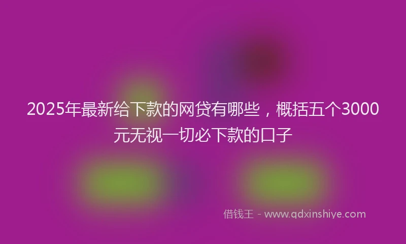2025年最新给下款的网贷有哪些，概括五个3000元无视一切必下款的口子