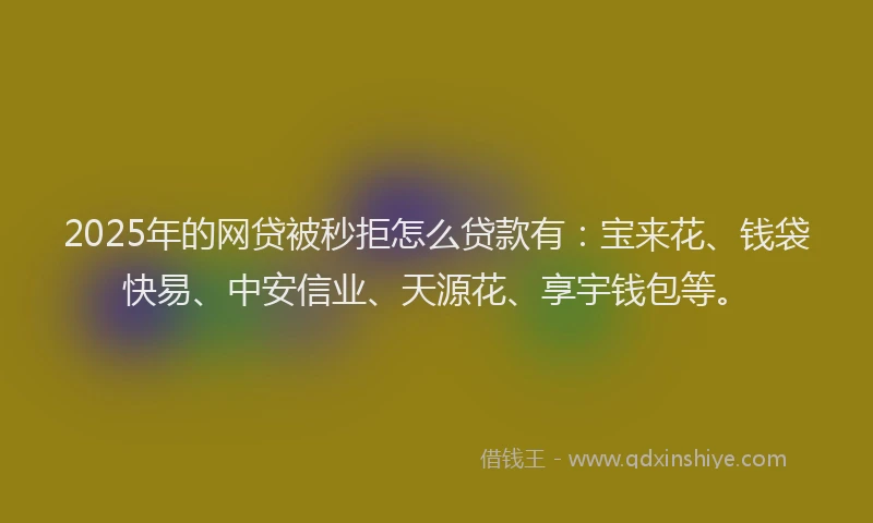 2025年的网贷被秒拒怎么贷款有：宝来花、钱袋快易、中安信业、天源花、享宇钱包等。