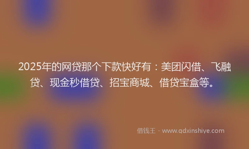 2025年的网贷那个下款快好有：美团闪借、飞融贷、现金秒借贷、招宝商城、借贷宝盒等。