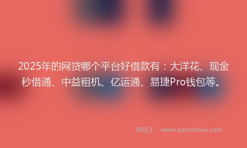 2025年的网贷哪个平台好借款有：大洋花、现金秒借通、中益租机、亿运通、易捷Pro钱包等。