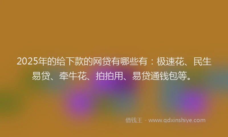 2025年的给下款的网贷有哪些有：极速花、民生易贷、牵牛花、拍拍用、易贷通钱包等。