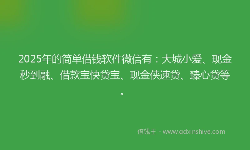 2025年的简单借钱软件微信有：大城小爱、现金秒到融、借款宝快贷宝、现金侠速贷、臻心贷等。