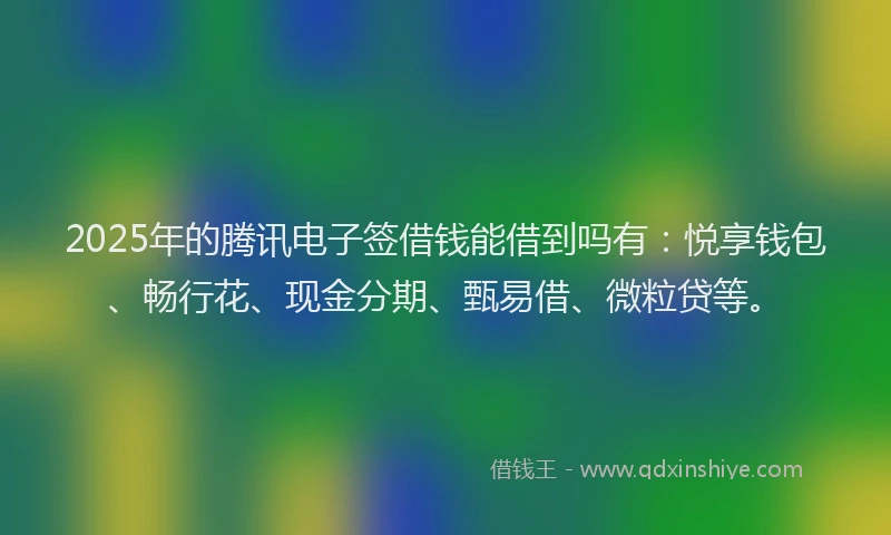 2025年的腾讯电子签借钱能借到吗有:悦享钱包、畅行花、现金分期、甄易借、微粒贷等。