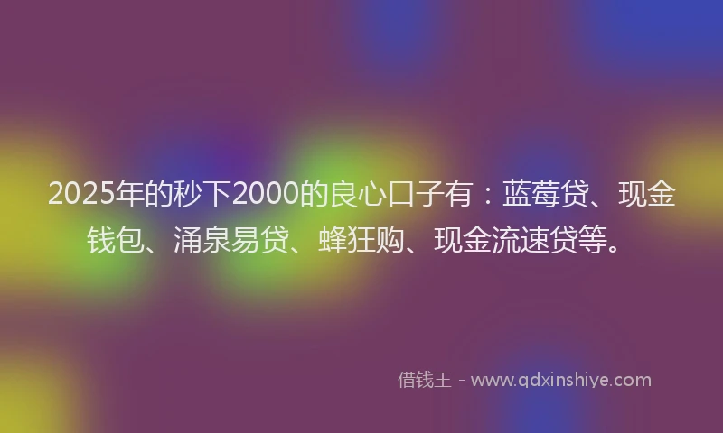 2025年的秒下2000的良心口子有：蓝莓贷、现金钱包、涌泉易贷、蜂狂购、现金流速贷等。