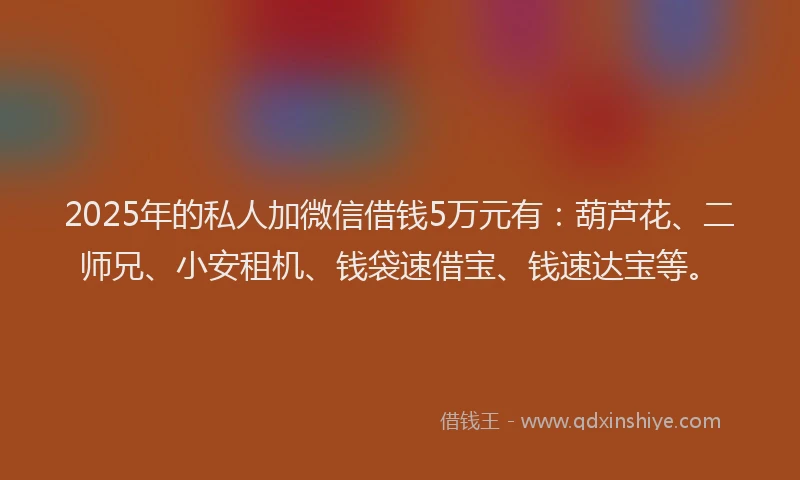 2025年的私人加微信借钱5万元有：葫芦花、二师兄、小安租机、钱袋速借宝、钱速达宝等。