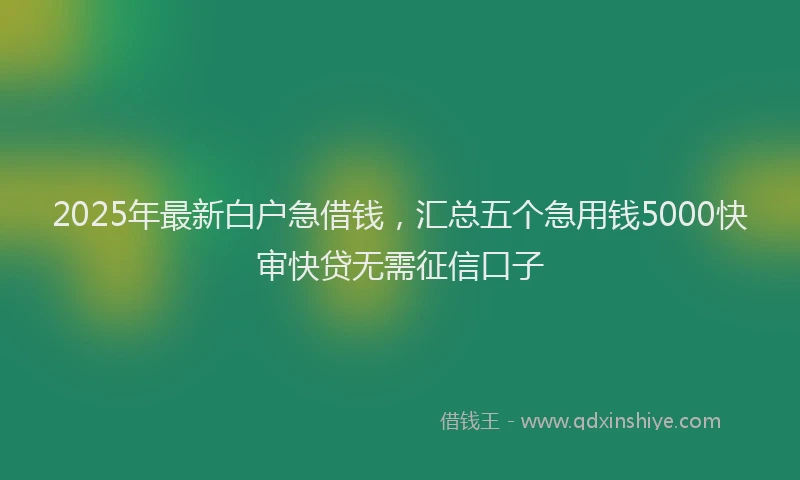 2025年最新白户急借钱，汇总五个急用钱5000快审快贷无需征信口子