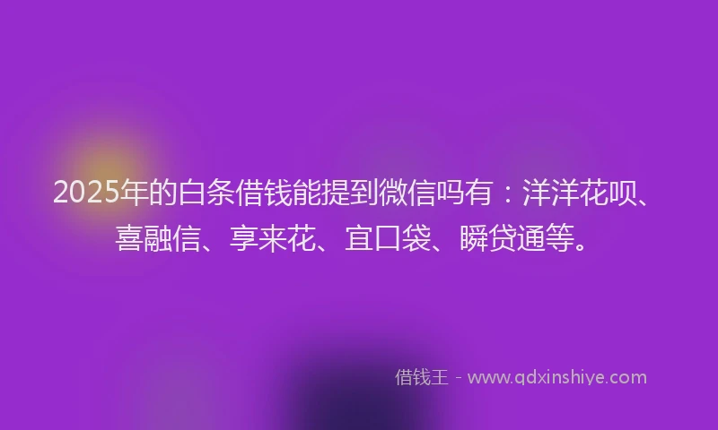 2025年的白条借钱能提到微信吗有：洋洋花呗、喜融信、享来花、宜口袋、瞬贷通等。