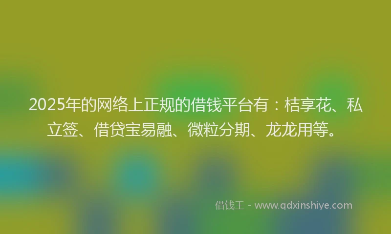 2025年的网络上正规的借钱平台有：桔享花、私立签、借贷宝易融、微粒分期、龙龙用等。
