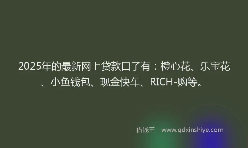 2025年的最新网上贷款口子有：橙心花、乐宝花、小鱼钱包、现金快车、RICH-购等。