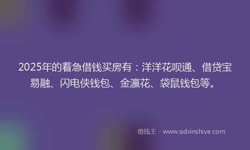 2025年的着急借钱买房有：洋洋花呗通、借贷宝易融、闪电侠钱包、金瀛花、袋鼠钱包等。