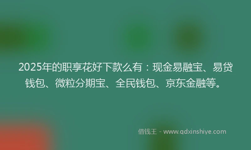 2025年的职享花好下款么有：现金易融宝、易贷钱包、微粒分期宝、全民钱包、京东金融等。