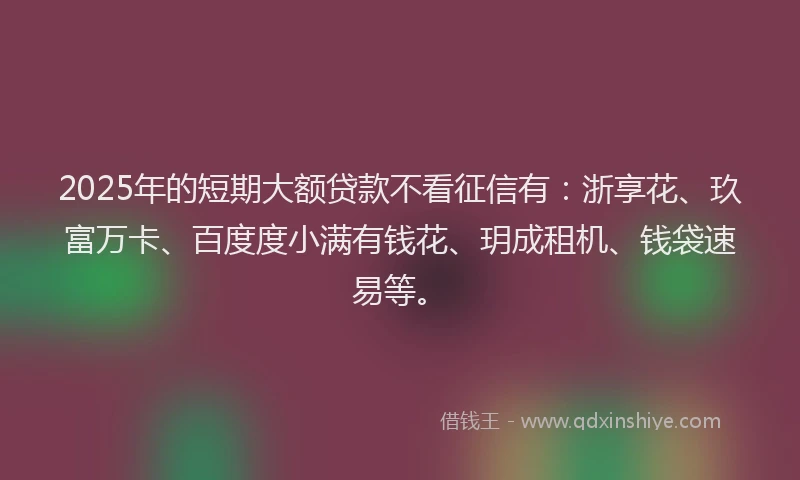 2025年的短期大额贷款不看征信有：浙享花、玖富万卡、百度度小满有钱花、玥成租机、钱袋速易等。